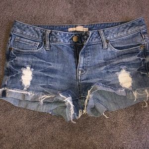 2.1  Denim Shorts